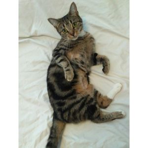 No photo for Alice