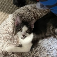 Photo of Jasper