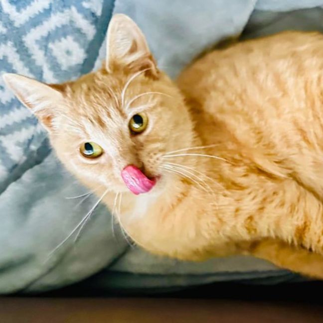 Photo of Abigail   Located In Fairfield