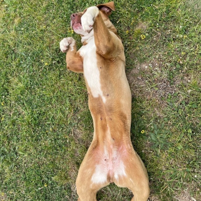 Photo of Grace