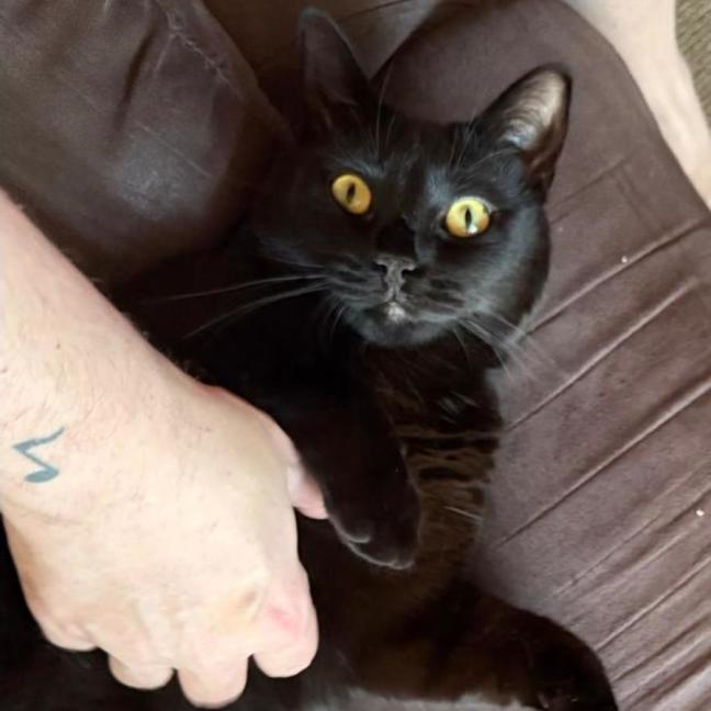 Photo of Sammy And Tali 🖤