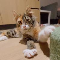 Photo of Heka