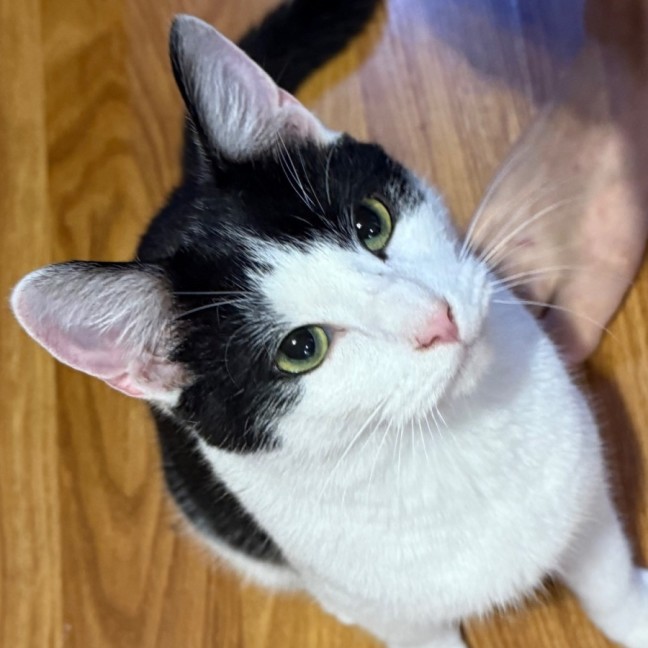 Photo of Reuben