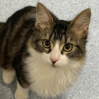 Photo of Kevin   Located In Kew