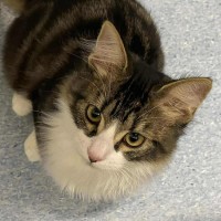 Photo of Kevin   Located In Kew