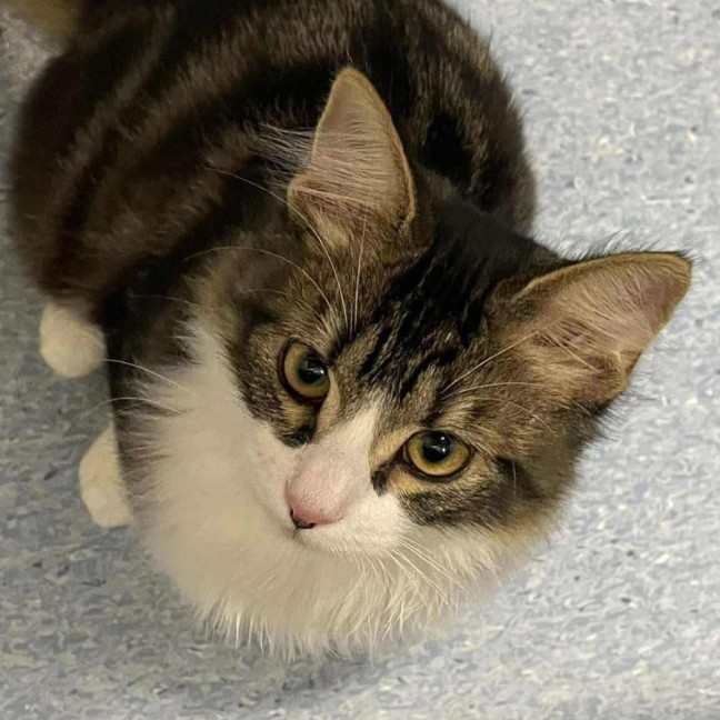 Photo of Kevin   Located In Kew