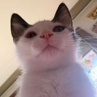 Photo of Emmy
