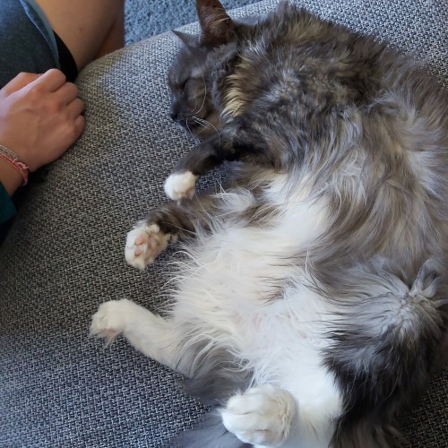 Leo - Located in Tarneit