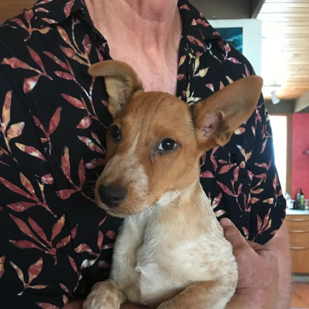 Photo of Burt