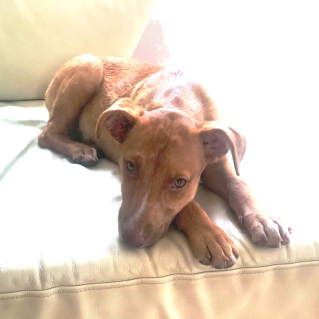 Photo of Blanche