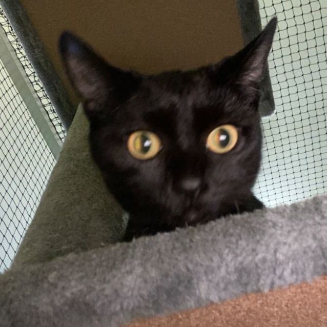 Photo of Kiki