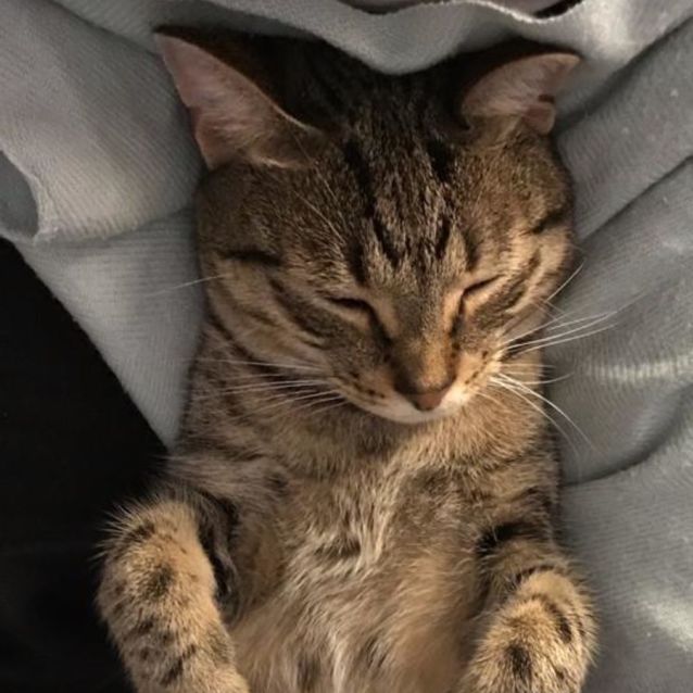 Photo of Bob