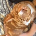 Photo of Bourbon