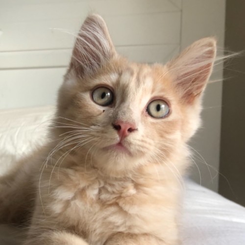 George 