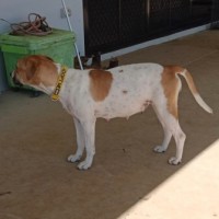 Photo of Maisey