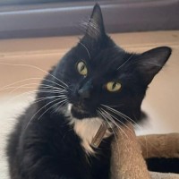 Photo of Lucy