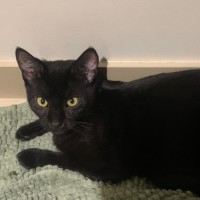 Photo of Jonah