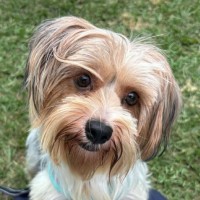 Photo of Mimi