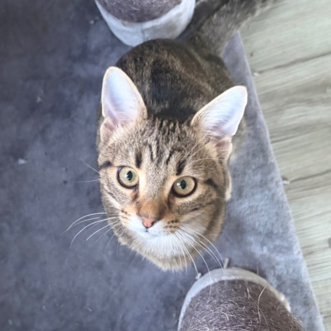 Photo of Diego