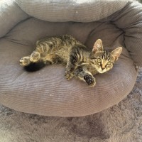 Photo of Friday & Woody