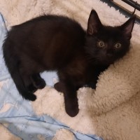 Photo of Ray