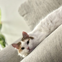 Photo of 💛Cassie💛