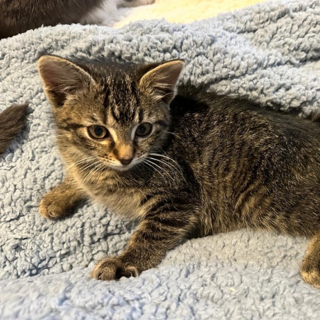 Photo of Tabitha