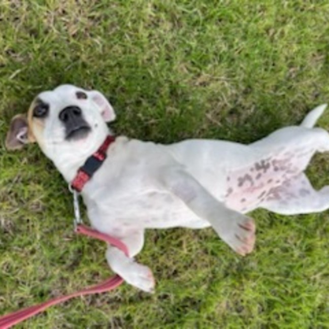 Photo of Lulu