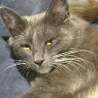 Photo of Mumma