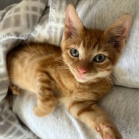 Photo of Jerry   Meet Me 10/10 Info In Bio