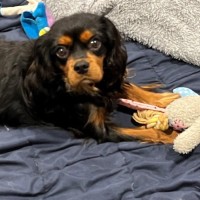 Photo of Walter Quinnell