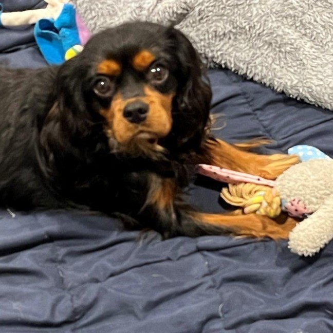 Photo of Walter Quinnell