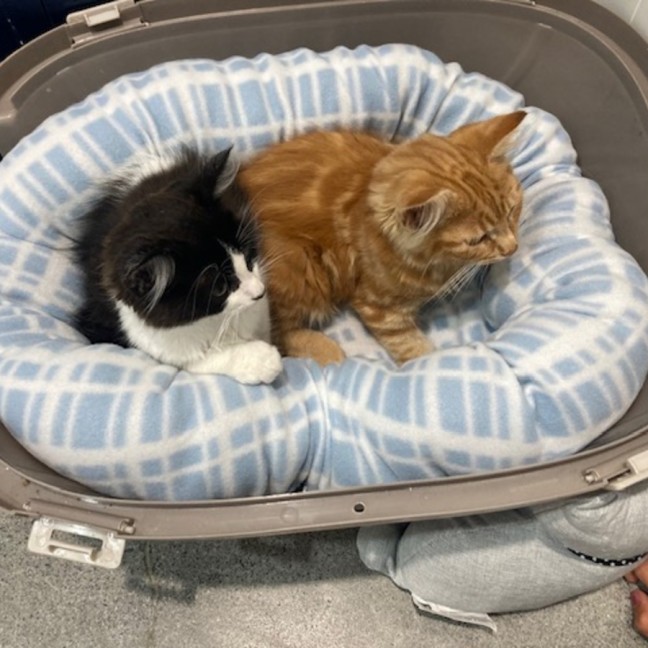 Photo of Gretel Moriarty