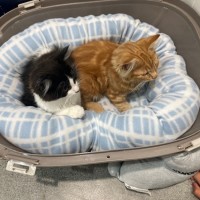 Photo of Hansel Moriarty