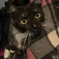 Photo of Mitzi
