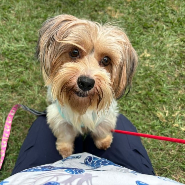 Photo of Mimi