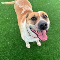 Photo of Minnie Imp 2069