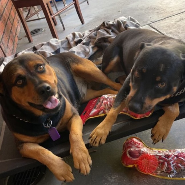 Photo of Ally And Lilly