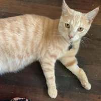 Photo of Maverick