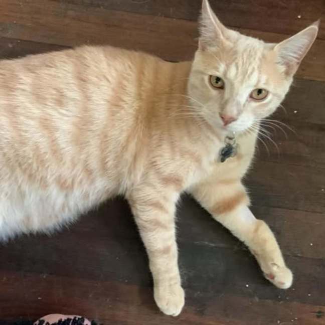 Photo of Maverick