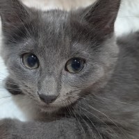 Photo of Sini