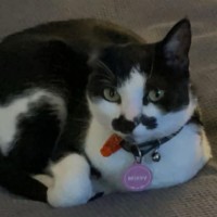 Photo of Missy 