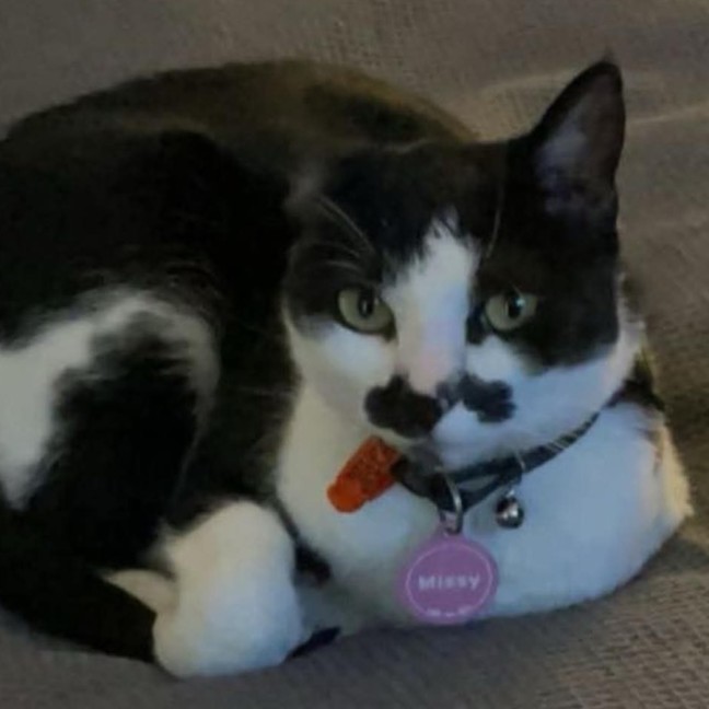 Photo of Missy 