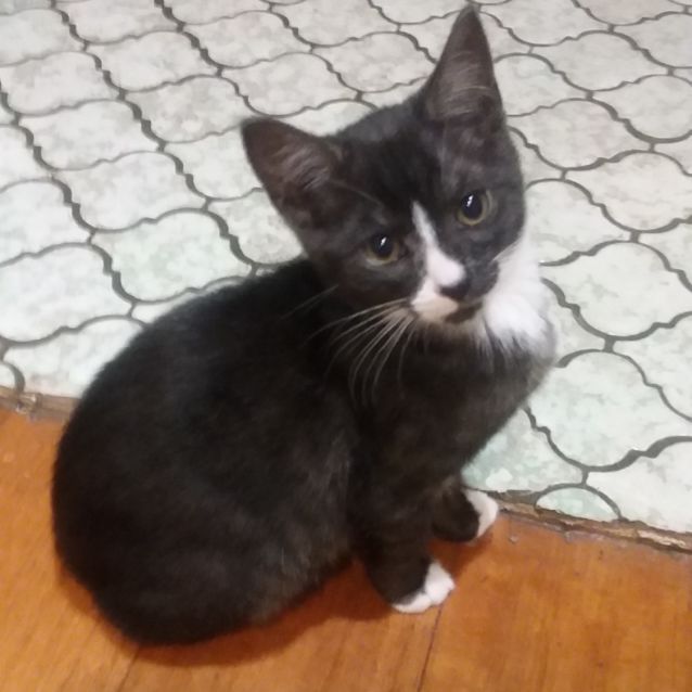 Photo of Ralph