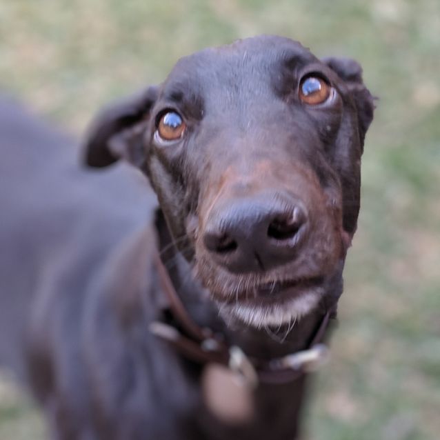 Photo of Peter Allen