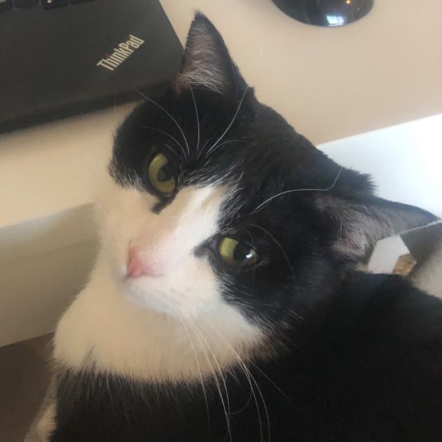 Photo of Cassie