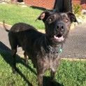 Photo of Bonnie