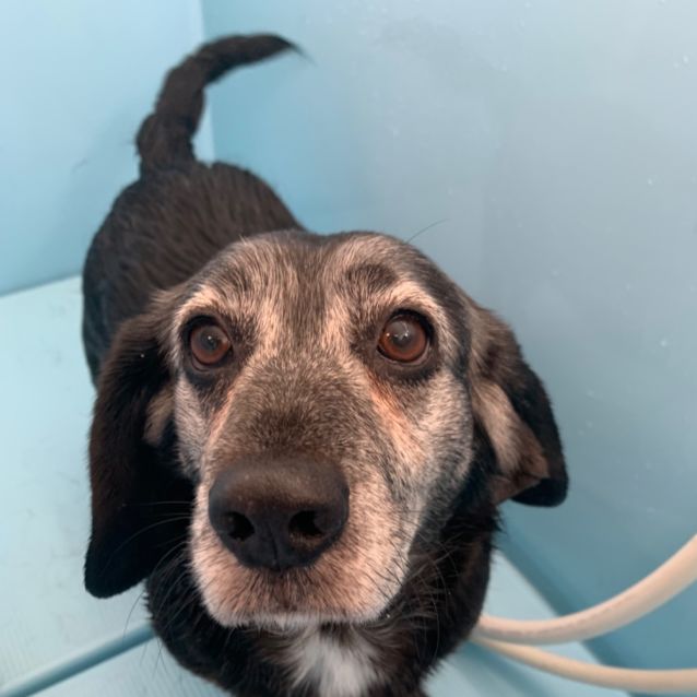 Photo of Dame Nellie & Lord Coadey