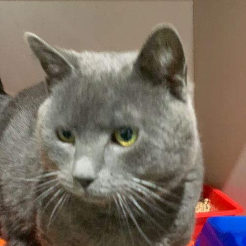 Pete