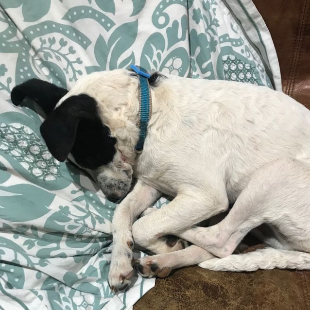 Photo of Sammy